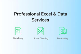 do data entry, excel cleanup and spreadsheet formatting, excel formulas