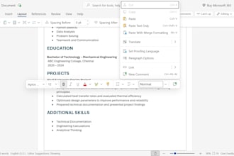 create an ats friendly professional resume or CV