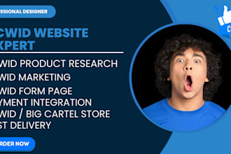 design, redesign, flipcart, fix big cartel, ecwid, bigcommerce opencart shopify