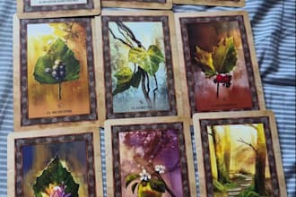do love tarot reading