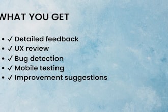 test your website and give honest user feedback