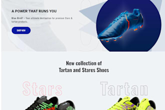 a professional woocommerce online store
