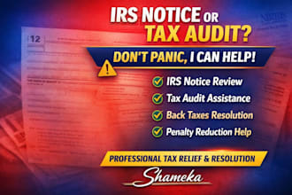 review irs or state tax notice, audit letters and provide expert tax resolution