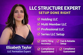 form holding company llc, multi member, professional llc and series llc setup