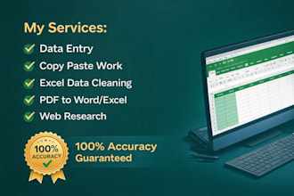 provide fast and accurate data entry services within 24 hours