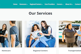 home care website healthcare elderly care medicare medical website home care