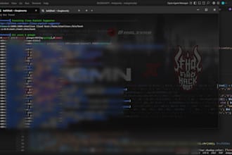 perform website penetration testing and security audit