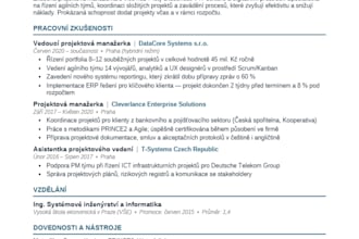 write or rewrite your professional resume in english or czech