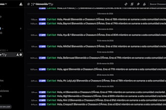 build a professional, secure, and automated discord server