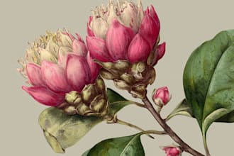 create minimalist elegant botanical floral line art