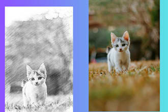 do create realistic pencil sketch portrait from your photo