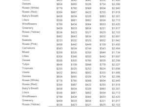 clean, format, merge, split excel data