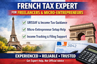 provide expert french tax filing and compliance for non residents