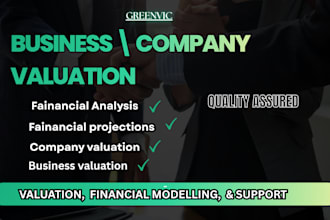 perform company valuation business valuation financial analysis financial model
