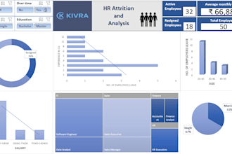 design professional excel dashboards, charts