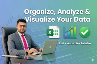 professional data entry and excel solutions