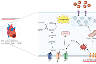 create scientific illustrations and graphical abstracts