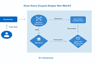 build a high speed meme coin sniper bot with anti rug and liquidity detection