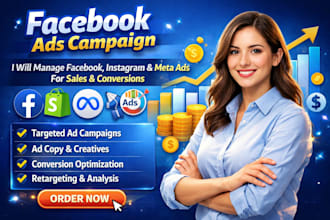 run facebook ads, meta ads campaign, ecommerce and shopify ads expert