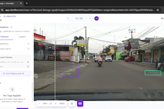 do image, video and text data annotation for ai and machine learning datasets
