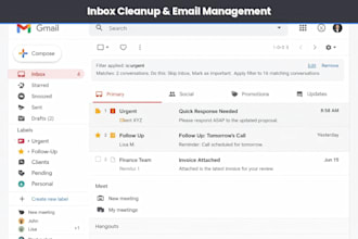 manage your emails, schedule calendar and create excel dashboards