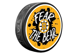 design professional bear logo