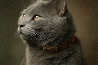 draw a cute portrait illustration of your cat in 24h