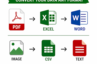 do data entry data conversion and data cleaning