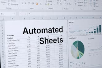 create a professional excel dashboard,  cost calculator or automated spreadsheet