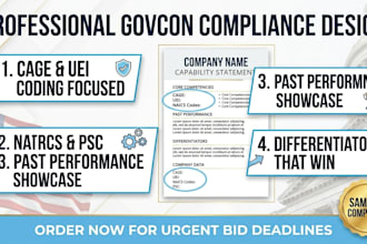 design a professional federal government capability statement in 12 hours