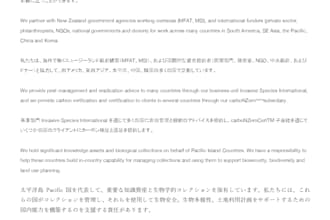 translate english to japanese as a native bilingual
