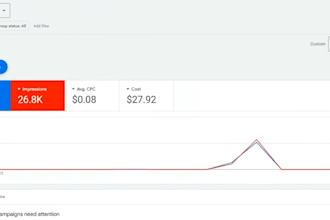 build your shopify store, fix gmc, and setup google ads