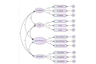 do confirmatory factor analysis in amos