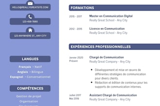 write and edit professional cvs and cover letters