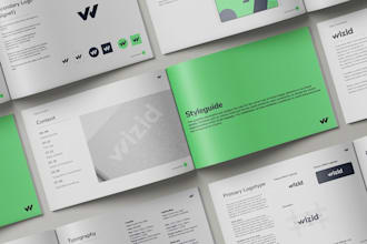 design a professional brand style guide and UI UX design
