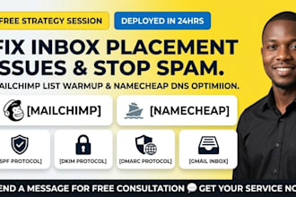 fix inbox placement issues dormant mailchimp list warm up spam issues namecheap