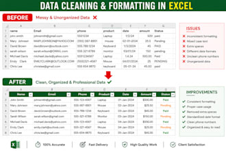 excel data entry, cleaning and basic spreadsheet editing
