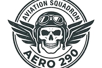 make modern aviation merchandise shirts, hats design