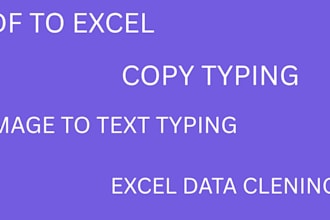 do fast data entry, copy paste, pdf to excel within 24 hours