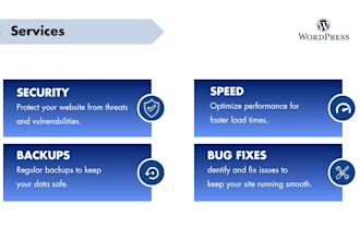 provide professional website maintenance and management services