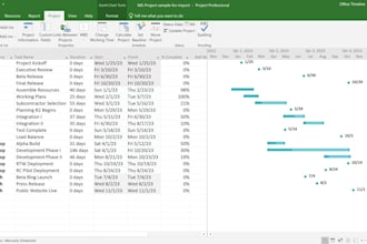 create a professional project schedule in primavera p6 or ms project