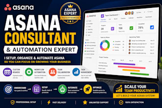 be your asana consultant, setup asana project management boards with automations