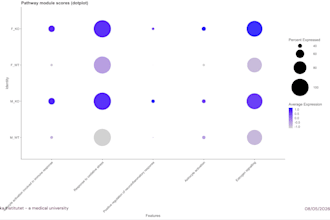 perform single cell rna seq analysis using r and seurat