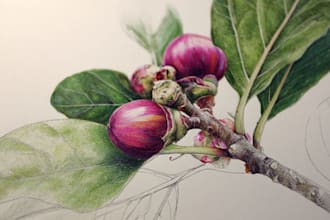 draw hand drawn botanical line art illustration of flowers