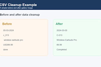 clean your CSV and deliver an excel validation