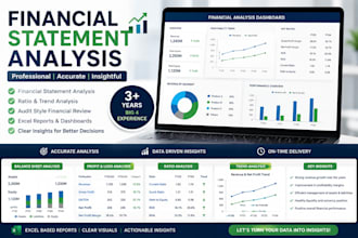 do professional financial statement analysis like auditors
