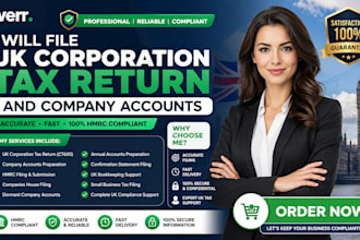 l file UK corporation tax return and company accounts
