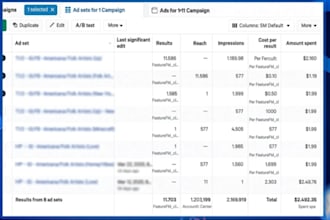 setup and optimize facebook and instagram ads