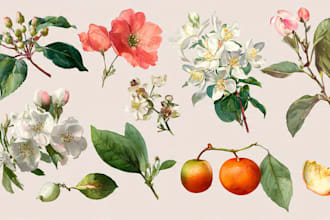 illustrate best botanical illustration