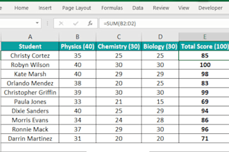 design advances excel spreadsheet with complex formulas